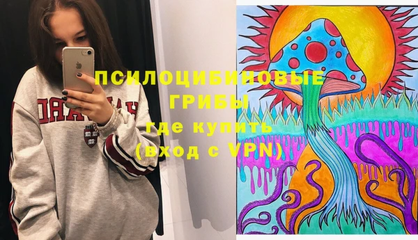 спайс Арсеньев