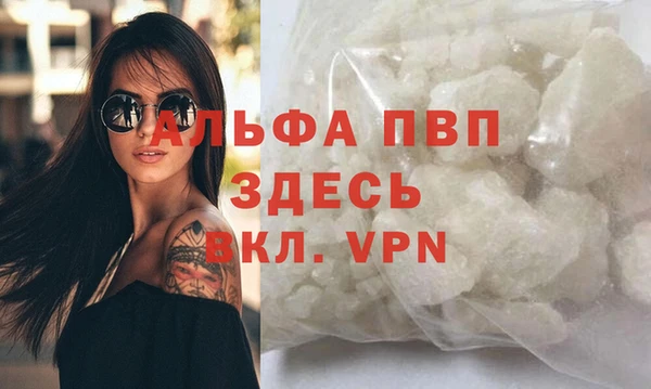 сатива Алзамай
